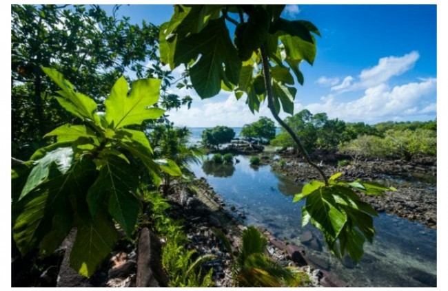 Nan-Madol, Mikroneziya. 2016 yildan buyon havf ostida. 