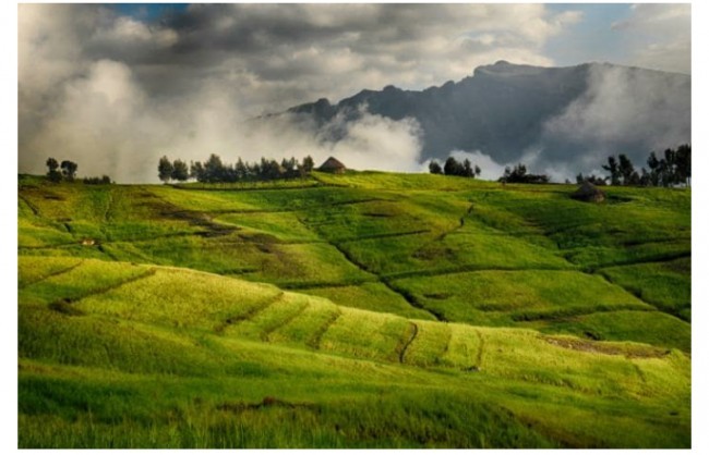 Simen milliy bog'i, Efiopiya. 1996 yildan buyon havf ostida. 