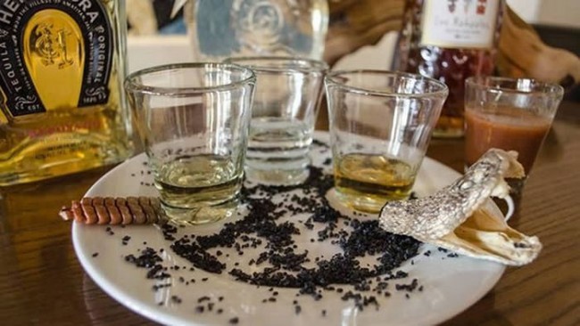 5. Tekila degustatori