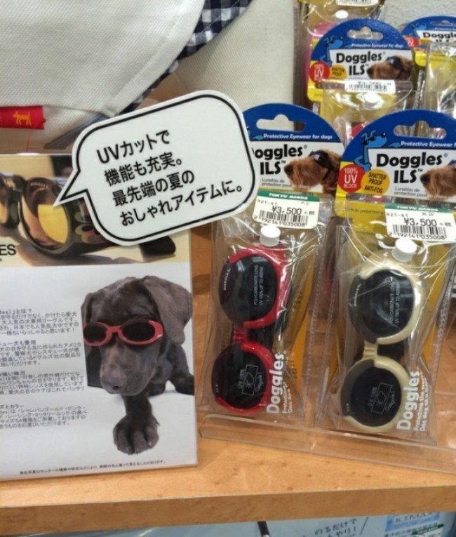 Itlar uchun quyosh nurlaridan saqlovchi ko'zoynaklar