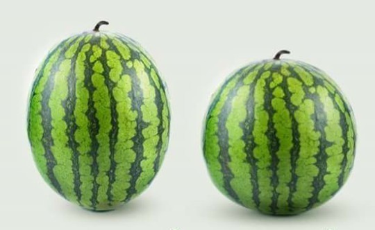 Jinsiy belgisi bo'yicha