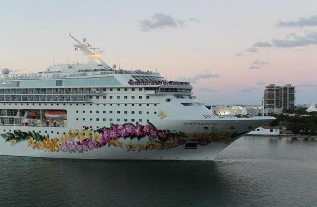 Norwegian Sky layneri