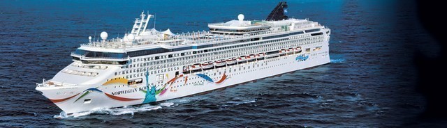 Norwegian Dawn layneri