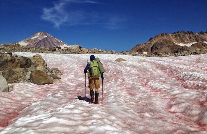 Tarvuzli qor, Serra-Nevada, AQSH