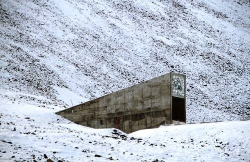Svalbard Umumjahon urug’lar banki