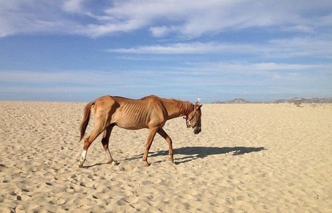 12. Umumjahon ochlik