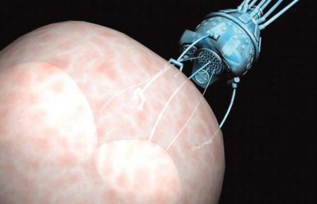 8. Nanotexnologik falokat