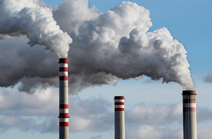 9.Maxluqotlar tabiatan suitsidal xususiyatga egadirlar