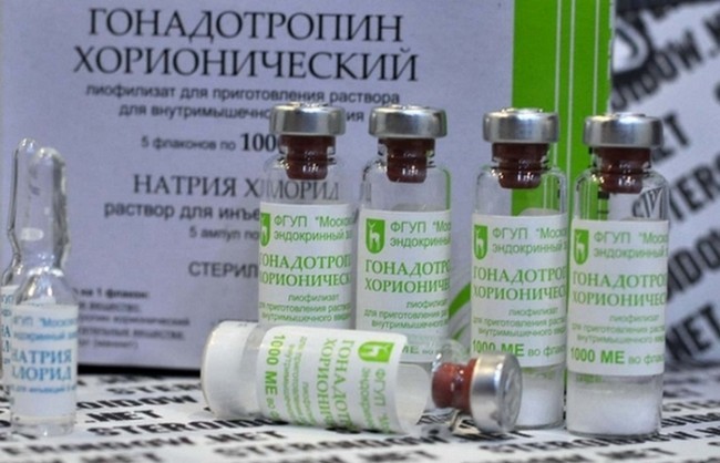 5. Xorionik gonadotropin (hCG)