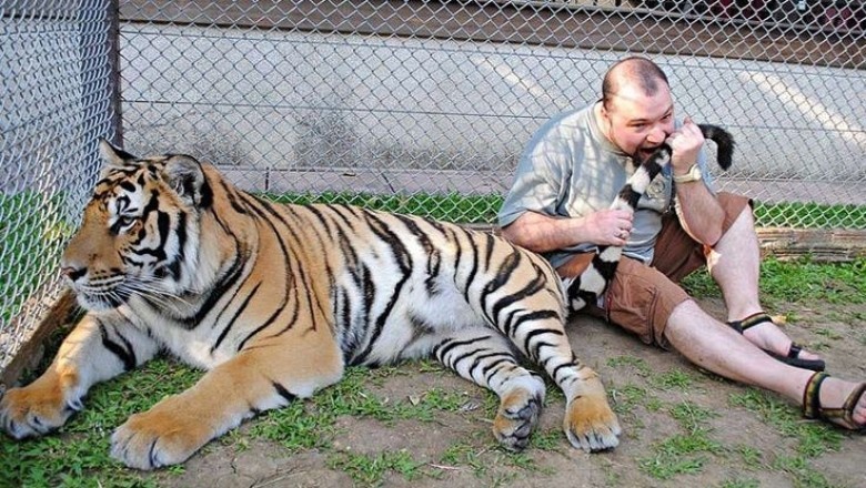 Nima uchun ? Nega ular bunday qilayapti ?