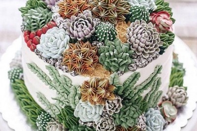 Sukkulent va kaktuslar bilan bezalgan kosmik chiroyga ega pirojnilar va to'rtlar