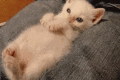 30ta oddiy ko'ngil xushliklar