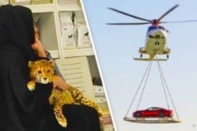 Faqat Dubayda bo'lishi mumkin bo'lgan 19 ajoyib narsalar.