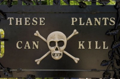 Havfli diqqatga sazovor joylar, uni faqat eng qo’rqmas sayyohlar ziyorat qilishga jur’at etishadi.  