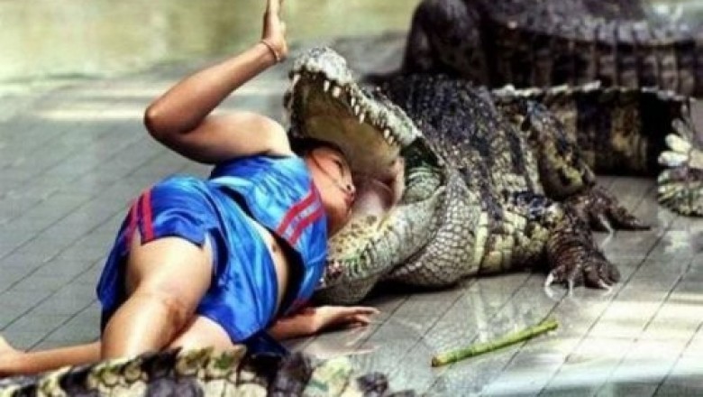  Darvin premiyasiga da'vogarlar