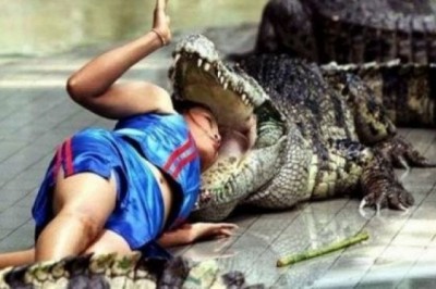  Darvin premiyasiga da'vogarlar