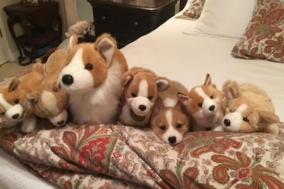 Uchinchisi ortiqcha: hattoki O'tkir Ko'z indeetsi ham topa olmaydigan, berkinish ustalari