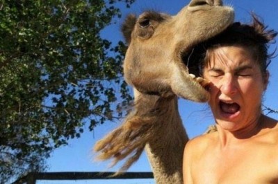 Hayvonlar ayollarni yoqtirmasliklari haqida 25ta kulgili isbot 