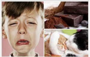 Baxt kafolatlangan: o'z kayfiyatini ko'tarish va hattoki qiyin kunda ham bardam bo'lib olishning 7 ta ilmiy tasdiqlangan yo'llari