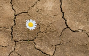 Tashnalik haqida 5 ta kutilmagan ma’lumot: biz bu haqiqatni unutib qo’ydik