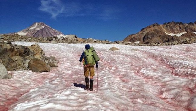 Qiziqarli dunyo: O’ziga maftun etadigan 10 ta noyob tabiat hodisalari