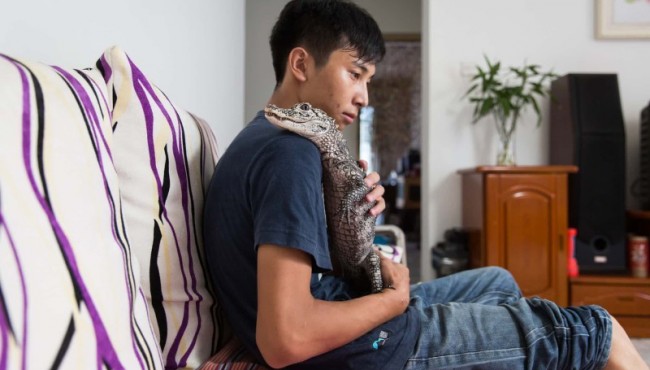 Qiziqarli ma’lumotlar: Xitoyliklar va ularning ekzotik hayvonlari