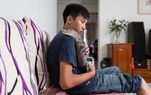 Qiziqarli ma’lumotlar: Xitoyliklar va ularning ekzotik hayvonlari