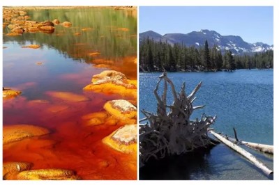 Qiziqarli dunyo: Dunyodagi eng zaharli ko'llar