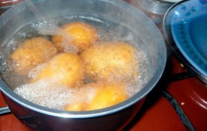 Bekajonlarga kartoshkani ishlatishda zarur bo'ladigan tavsiyalar