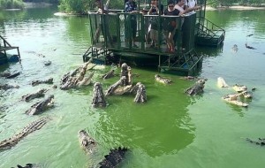 Dunyodagi eng qo’rqinchili timsoxli attraksion