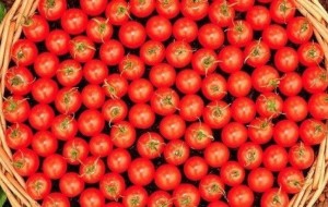 Perfeksionistlar uchun rasmlar