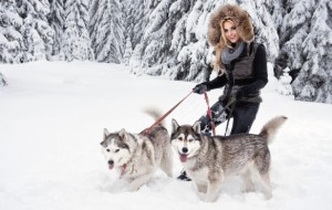 Insonlarning sodiq do’sti bo’lmish kuchuklar haqida 24 fakt 