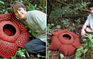 Koinotning eng ajoyib o’simliklari