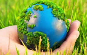 Olimlarni boshi berk ko’chaga olib kirib qo’ygan 6 nafar tabiat jumboqlari  