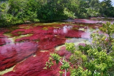 Kolumbiyadagi kamalak ranglarida jilolanuvchi daryo