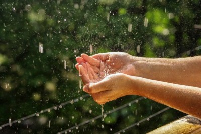 Petrikor – yomg‘irdan keyin paydo bo‘ladigan iforni nima uchun yaxshi ko‘ramiz?