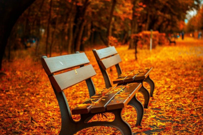 Kuz faslida inson tanasida ro’y beradigan salbiy o’zgarishlar