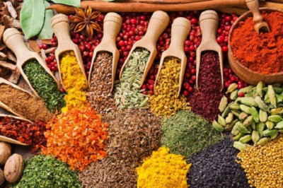 Ziravorlar tufayli amalga oshgan buyuk geografik kashfiyotlar