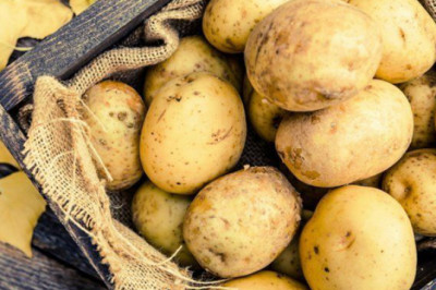 Kartoshka haqida siz bilmagan ma’lumotlar