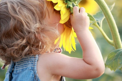 Kichkintoylar haqidagi qiziqarli faktlar