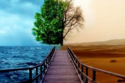 Buyuk faylasuflarning boylik va kambag’allik haqidagi iqtiboslari