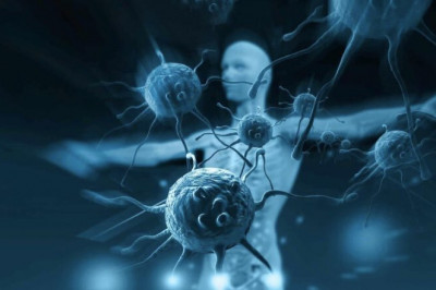 Immunitet ko’tarishning 7 xil usuli