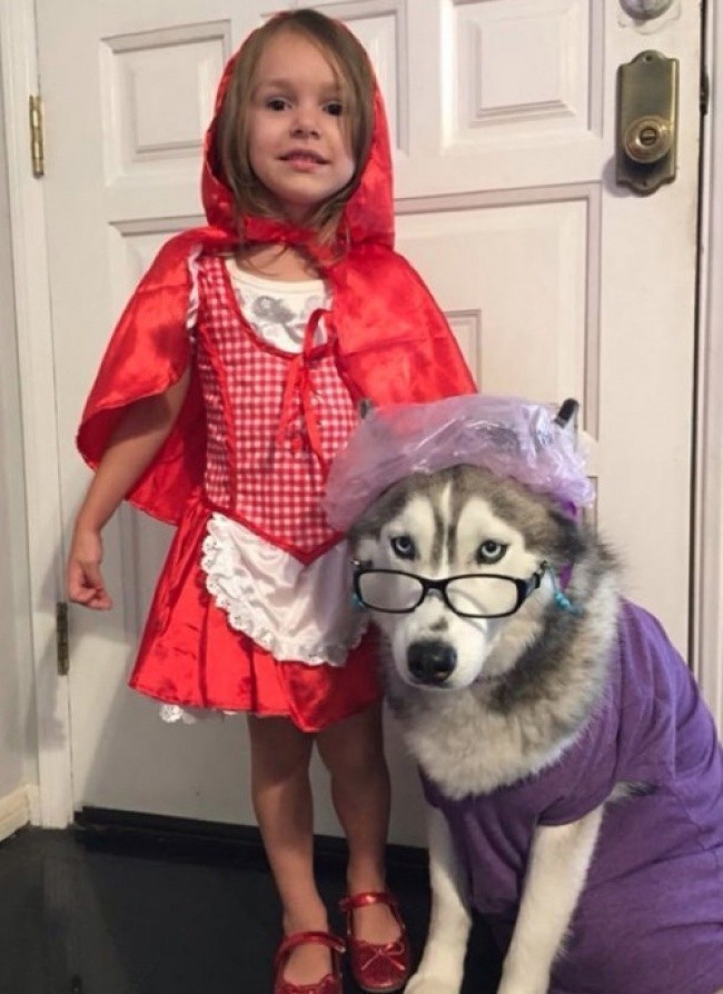 Qizil qalpoqcha va bo'ri