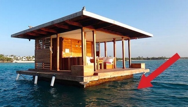 Pemba oroli yonida suvdagi uycha.