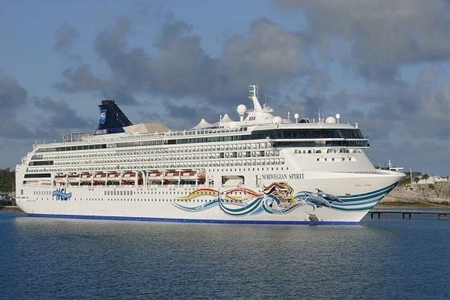 Norwegian Spirit layneri