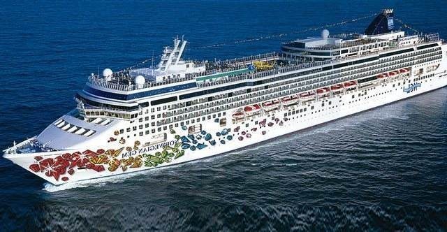 Norwegian Gem layneri