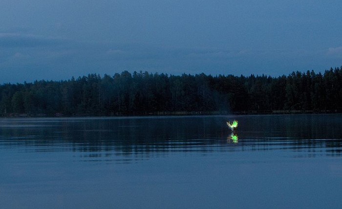Olovli sharlar, Mekong daryosi, Tailand