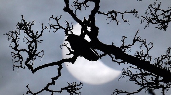 7. Shu’lalar, jimjidlik va haroratni pasayishi