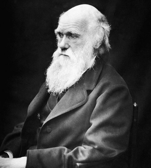 25. Charlz Darvin (Charles Darwin)