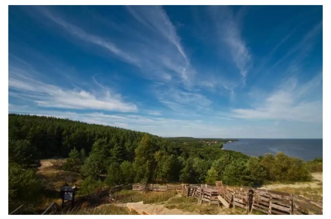 3. Kursh kokili, Kaliningrad tumani 